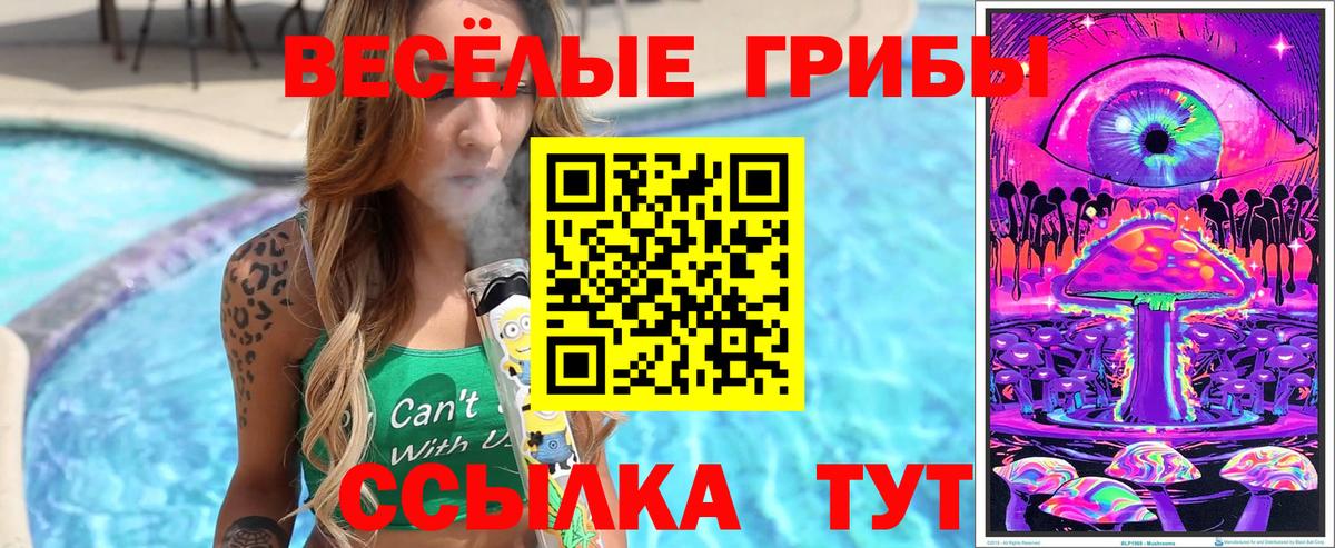 Галлюциногенные грибы Psilocybine cubensis Избербаш